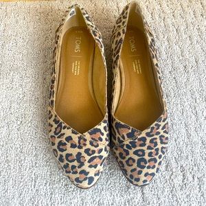 TOMS 6.5